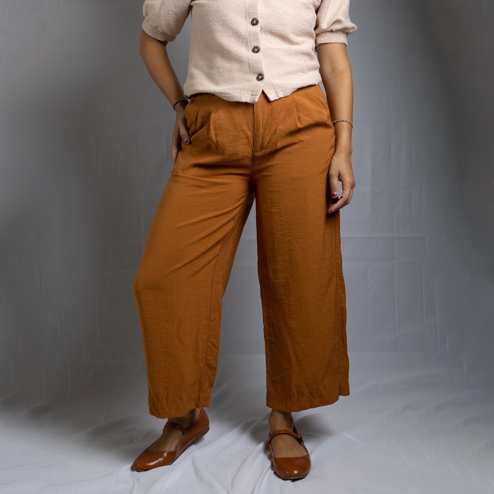 Madewell Petite Drapey Pleated Wide-Leg Pants in Burnt Sienna Size 2